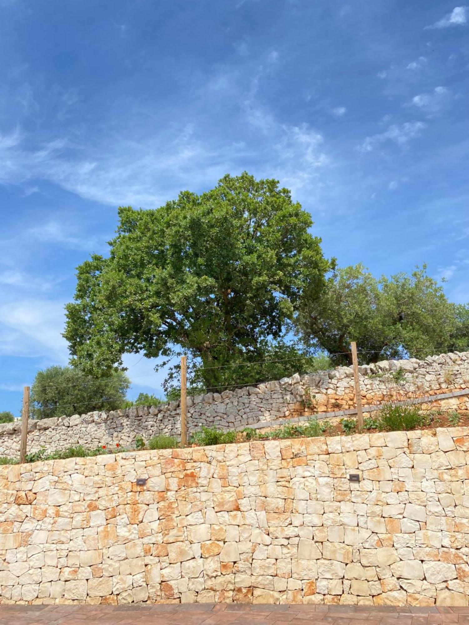 Ferienwohnung Trulli Mbs By Apulia Hospitality Locorotondo Exterior foto