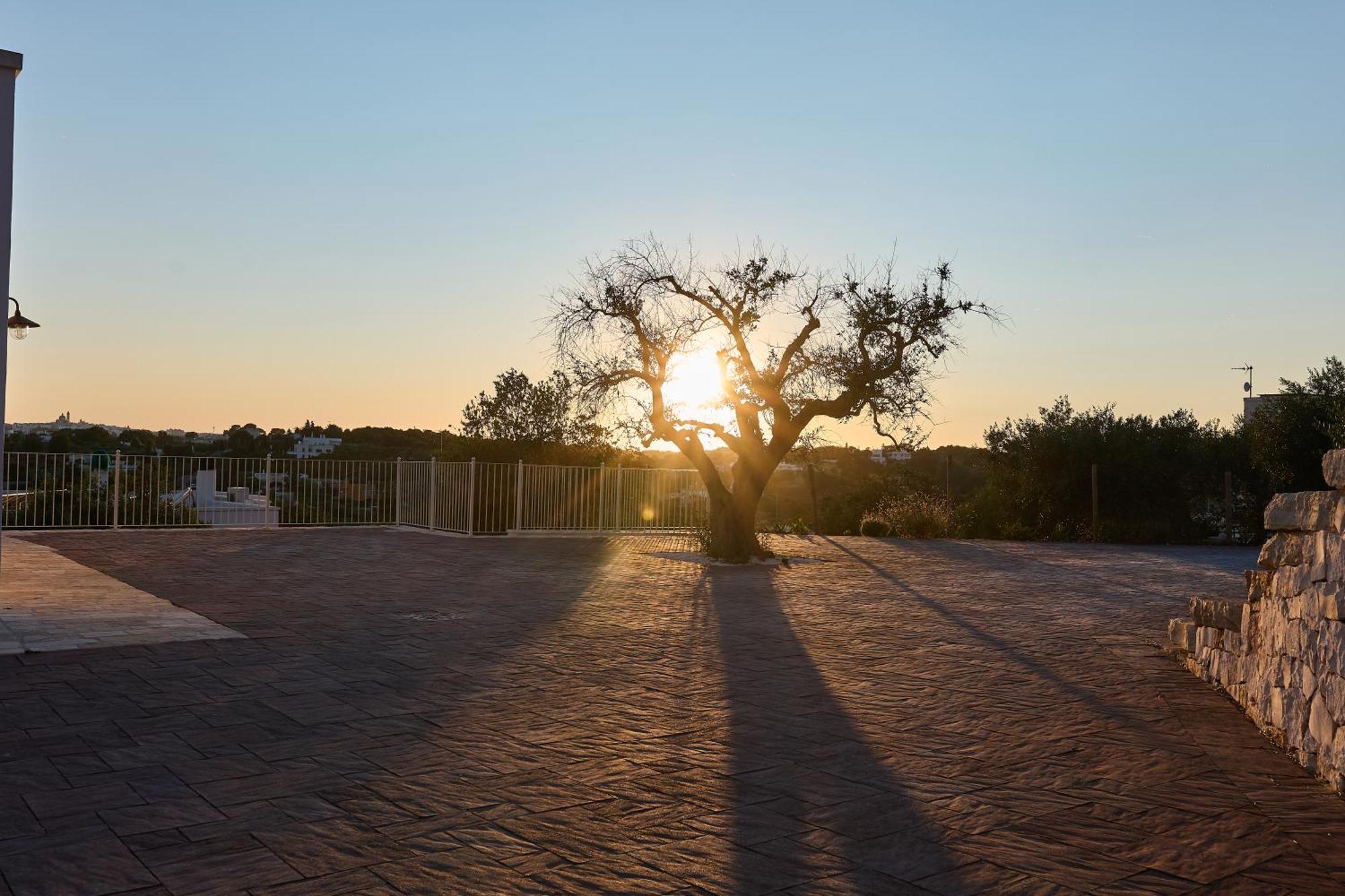 Ferienwohnung Trulli Mbs By Apulia Hospitality Locorotondo Exterior foto