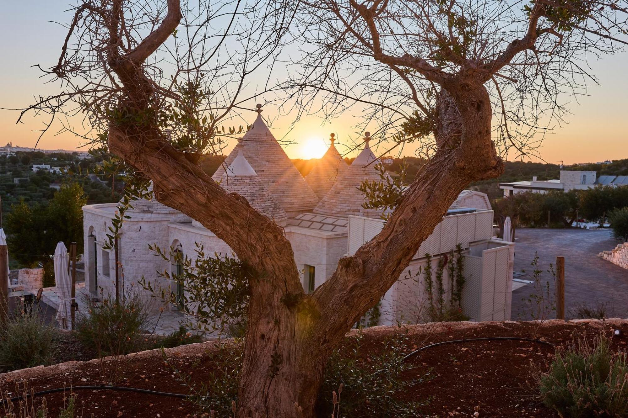 Ferienwohnung Trulli Mbs By Apulia Hospitality Locorotondo Exterior foto
